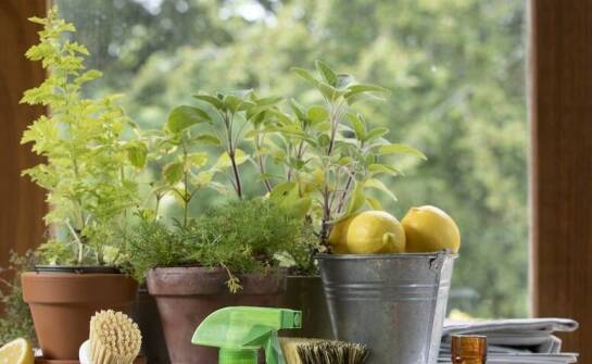 Rola ekologicznych środków w sprzątaniu po remontach