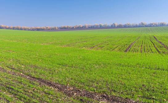 Jak rzeczoznawca majątkowy ocenia wartość gruntów rolnych?
