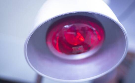 Rola żarówki grzewczej w utrzymaniu odpowiedniej temperatury dla płazów