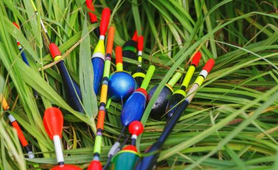 Jakie są najczęstsze błędy przy wyborze kulek haczykowych na karpia?