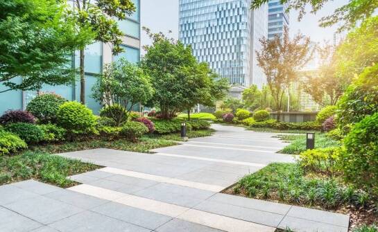 Jak zaplanować przestrzeń zieloną wokół biura dzięki projektowaniu ogrodu online?