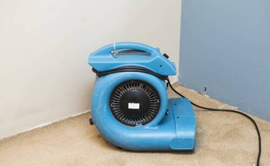 Wpływ profesjonalnego osuszania ścian na wartość nieruchomości