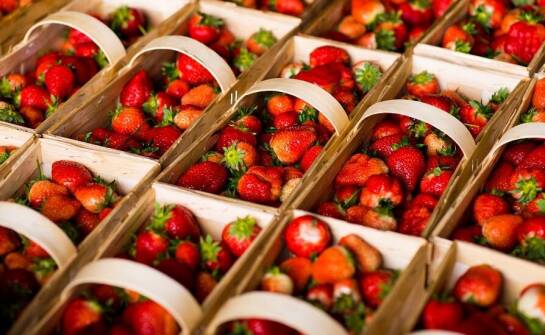Jak kobiałka na truskawki może wpłynąć na prezentację owoców w sklepie?