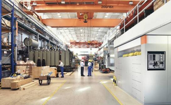 Czym charakteryzuje się profesjonalny serwis suwnic natorowych?