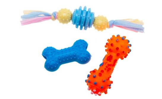 Przydatne akcesoria do zabawy i treningu z Twoim pupilem