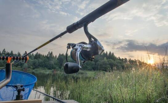 Wpływ warunków pogodowych na wybór żyłki wędkarskiej