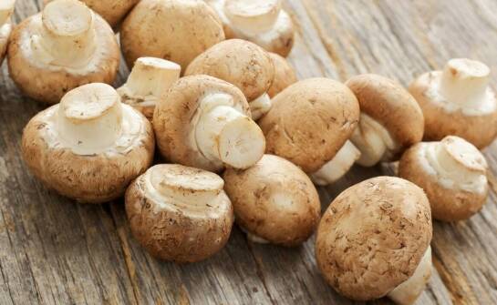 Why Is Freshness Key When Choosing Mushroom Suppliers?