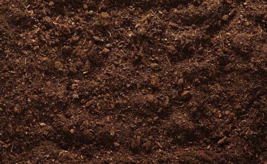 Odkażanie gleby w szklarniach: jakie preparaty są najbezpieczniejsze?