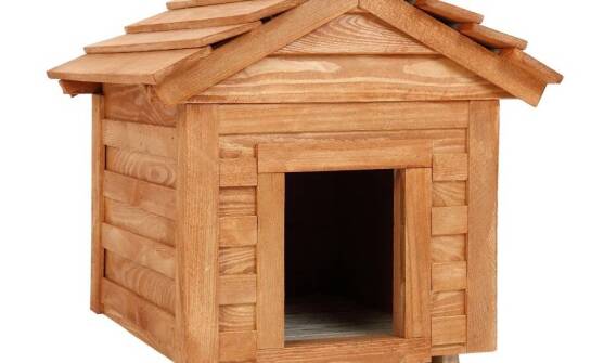 Jak ocieplana buda chroni kota przed zimnem i wilgocią?