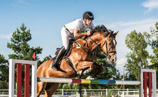 Porównanie bryczesów męskich dla różnych dyscyplin jeździeckich