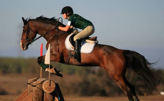 Jakie czynniki wpływają na wybór czapraka do jazdy wyczynowej?