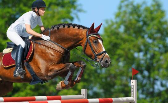 Jakie czynniki wpływają na wybór uprzęży dla koni?