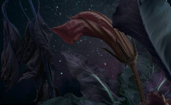 Nasz sklep erotyczny online: co warto wiedzieć o polityce zwrotów?