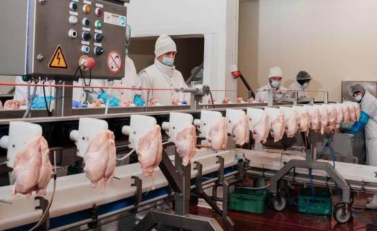 Jak skompletować linię ubojową — od ogłuszania po dzielenie i patroszenie.