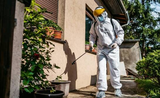 Deratyzacja a zdrowie – jak chronić się przed zagrożeniami?