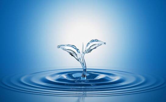 Zastosowanie inteligentnych systemów w zarządzaniu zużyciem wody
