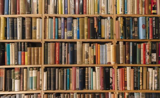 Jak wyeksponować książki na półkach drewnianych na ścianę?