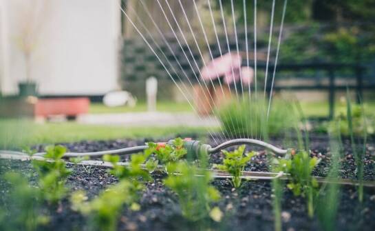Jak dobrać nawodnienie do naturalnego ogrodu przydomowego?