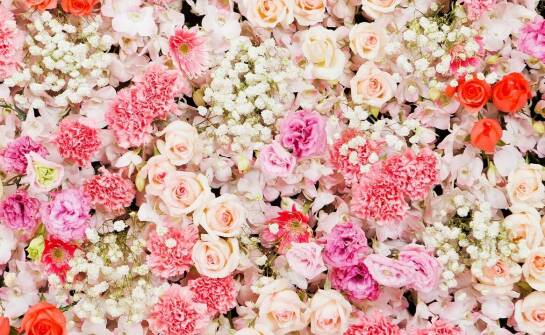 Tapety kwiatów jako sposób na optyczne powiększenie małych przestrzeni