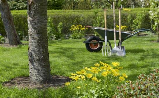Profesjonalna pielęgnacja terenów zielonych – co obejmuje nasza oferta?