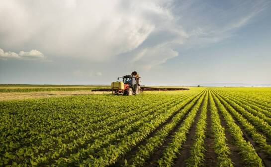Dlaczego maszyny są popularnym wyborem wśród rolników?