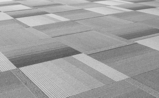 Pranie wykładzin – jak wpływa na komfort użytkowania przestrzeni biurowej?