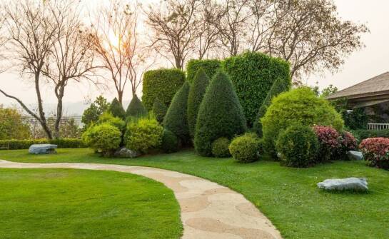 W jaki sposób ścieżki zdrowia wspierają proces rehabilitacji w sanatoriach?