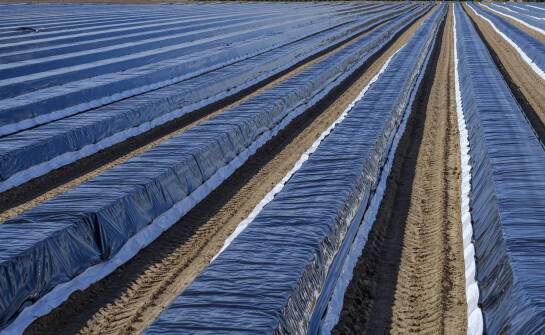 Jak właściwie stosować folię pryzmową w różnych warunkach klimatycznych?