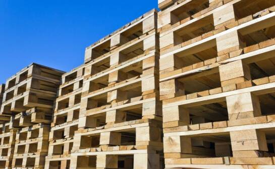 Różnorodność palet dostępnych w skupie: Od jednorazowych po przemysłowe