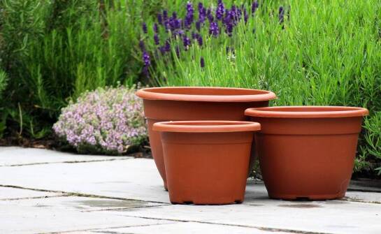 Wyprzedaż dużych donic ogrodowych – praktyczne porady dla miłośników roślinności