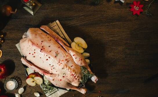 Czy mięso z kaczki to dobry wybór dla twojego psa?