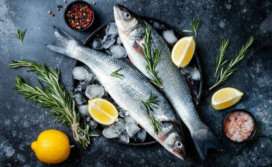 Jak ryby wspierają układ odpornościowy kota w diecie BARF?