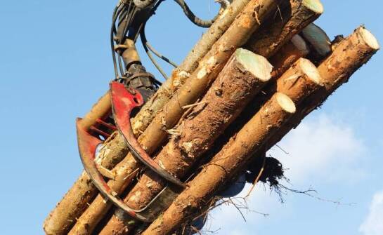 Wpływ użytkowania kombajnu do produkcji rozpałki na efektywność logistyki leśnej