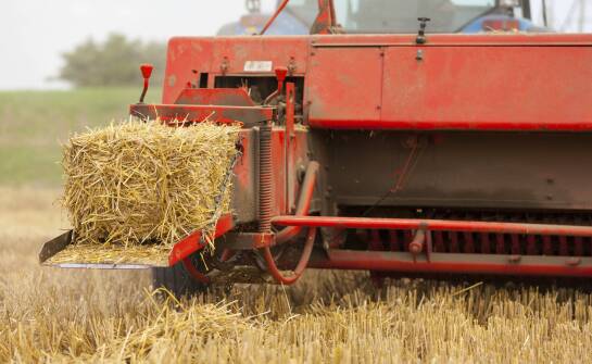 Najważniejsze parametry techniczne przy wyborze prasy kostkującej