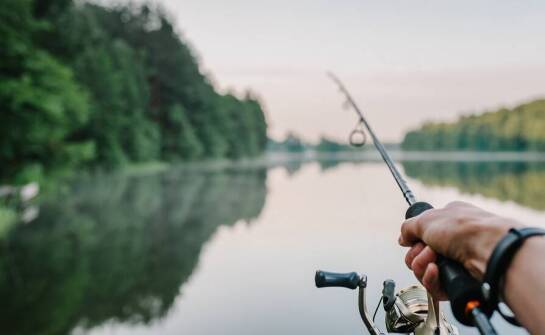 Wypoczynek i relaks w ośrodku z łowiskiem komercyjnym Zator