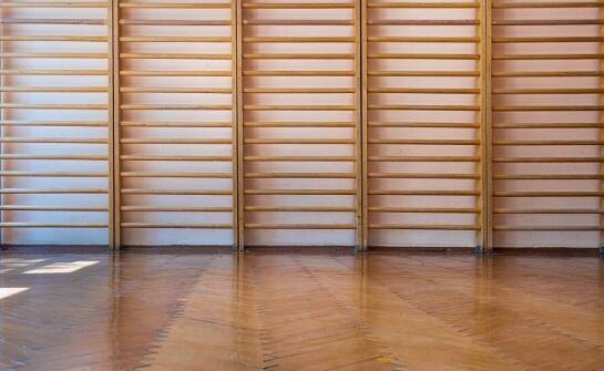 Drabinki gimnastyczne jako kluczowy element wyposażenia szkolnej sali sportowej