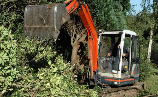 Jakie są najważniejsze zasady bezpieczeństwa przy karczowaniu drzew?