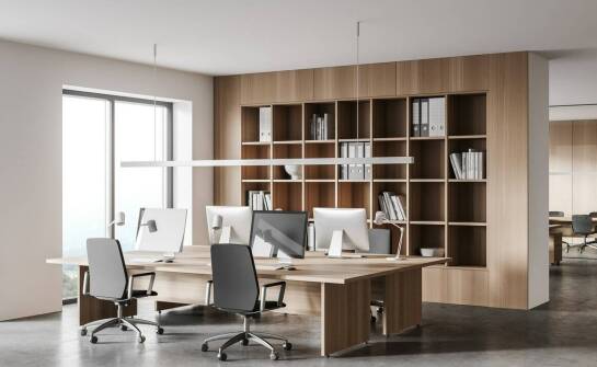 Zastosowanie e-archiwum w redukcji kosztów działalności przedsiębiorstwa