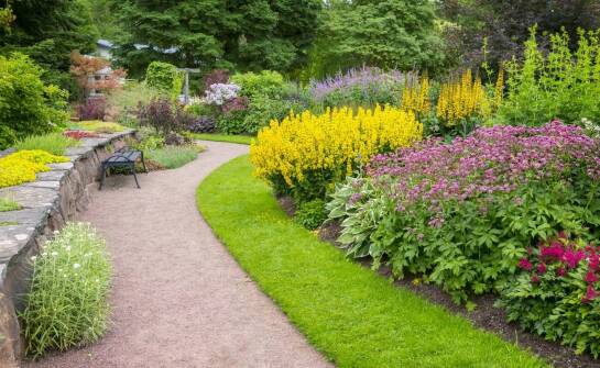 Jakie rośliny wybrać do rabat, aby zapewnić sezonowość kwitnienia przez cały rok?
