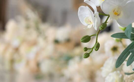 Znaczenie oprawy muzycznej i kwiatowej w ceremoniach pogrzebowych w Krakowie