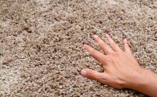 Dlaczego impregnacja jest ważna dla trwałości dywanu nowoczesnego?