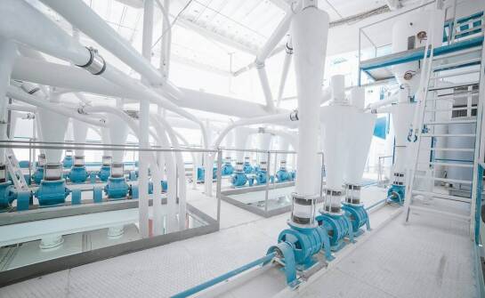 Certyfikacja karmy dla zwierząt a optymalizacja procesów produkcyjnych