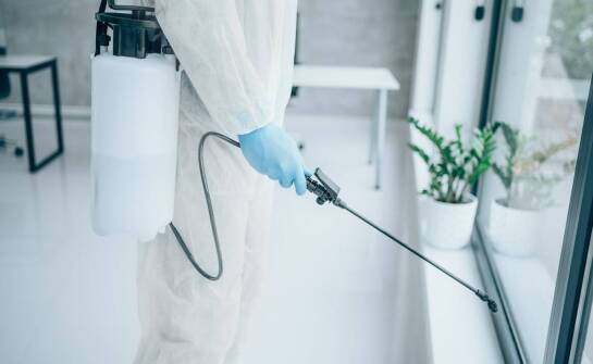 Rola fumigacji w zabezpieczaniu obiektów przed szkodnikami