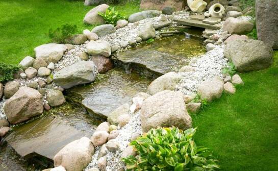 Jakie są kluczowe etapy zakładania oczka wodnego w ogrodzie?