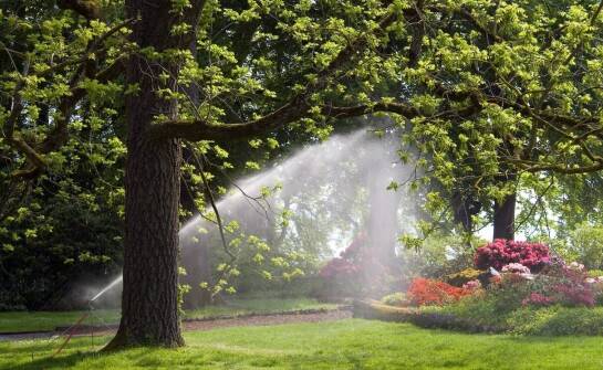 Pogłębianie studni jako sposób na zwiększenie zasobów wody w ogrodzie