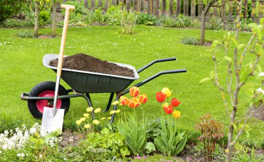 Sezonowe porady pielęgnacyjne dla właścicieli naturalnych ogrodów przydomowych