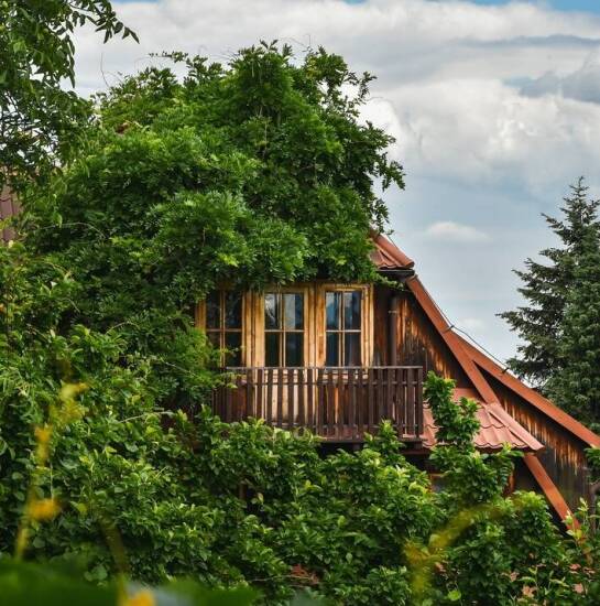 Noclegi Karpacz z wyżywieniem: Dlaczego warto nas odwiedzić?