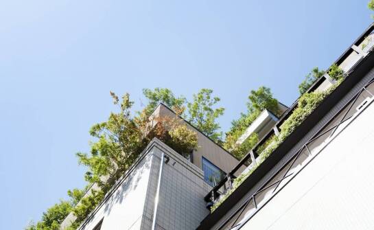 Proces instalacji dachów zielonych przez profesjonalnych dekarzy