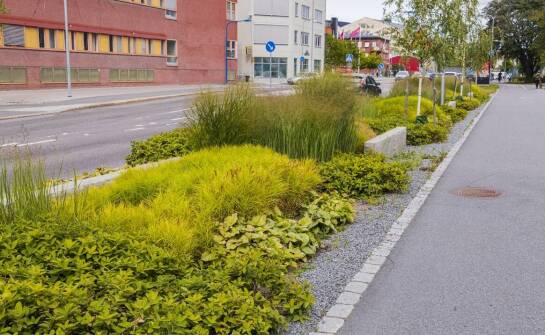 Efektywność systemu odwodnienia dzięki odpowiednim wpustom ulicznym