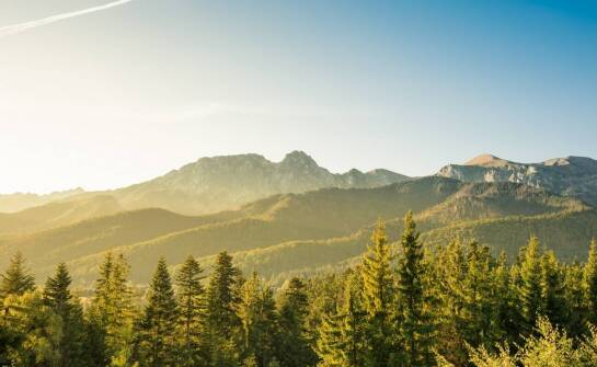 Jakie akcesoria mogą zwiększyć funkcjonalność śpiworów myśliwskich?